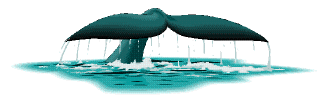 [Logo]